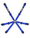 Becketts 6pt FIA Harness - 2" - Pull Down