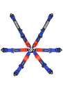 Woodcote 6pt FIA Harness - 2" - Pull Up