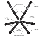 Becketts 6pt FIA Harness - 2" - Pull Down