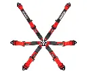 Woodcote 6pt FIA Harness - 2" - Pull Up