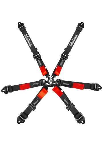 Copse 6pt FIA Harness - 2" - Pull Down