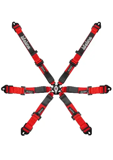 Woodcote 6pt FIA Harness - 2" - Pull Up