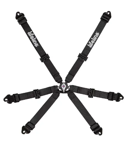 Becketts 6pt FIA Harness - 2" - Pull Up